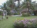 palm grove 2